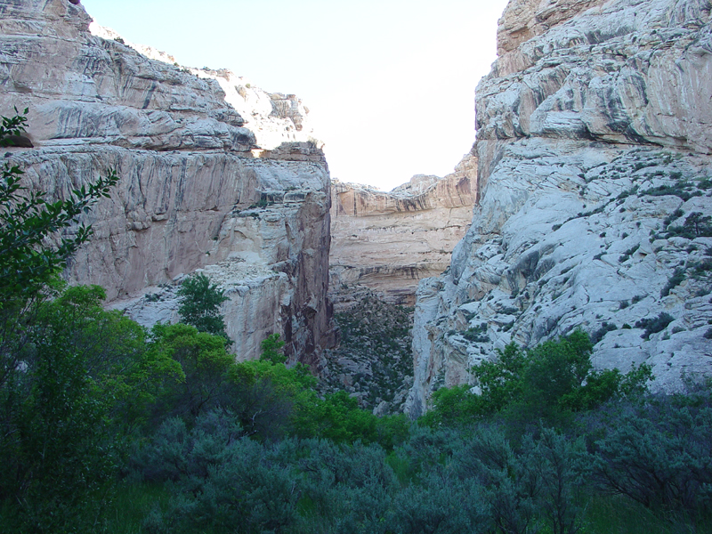 Dinosaur National Monument