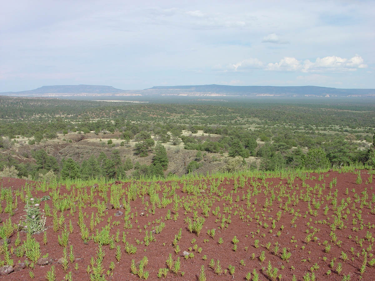 El Malpais