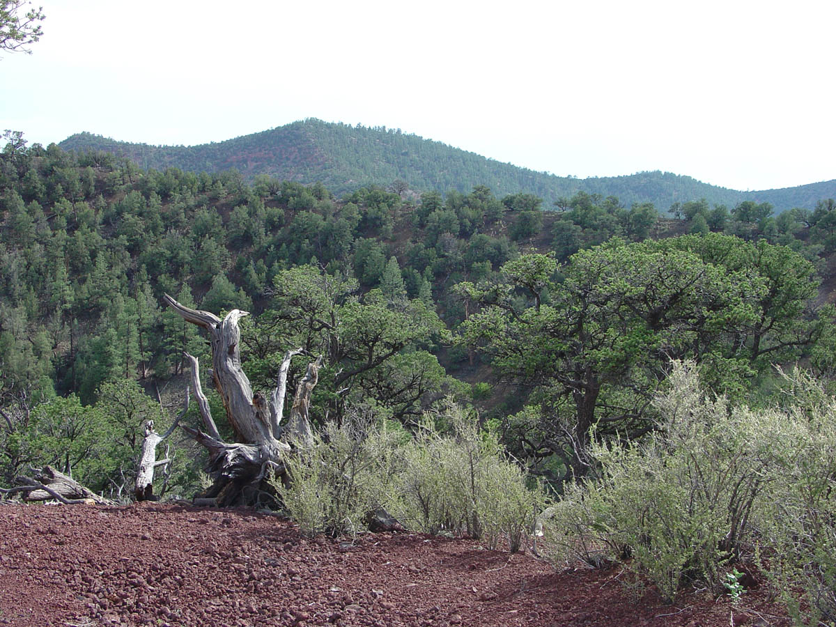 El Malpais