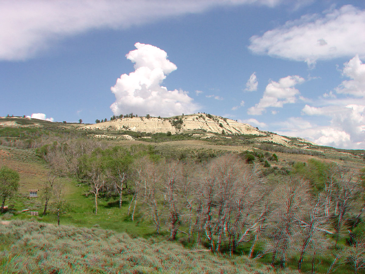 Fossil Butte picnic area
