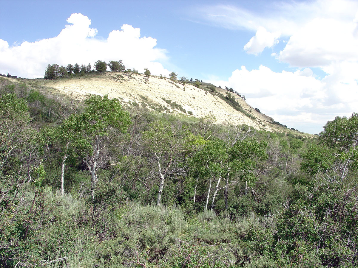 Fossil Lake Trail