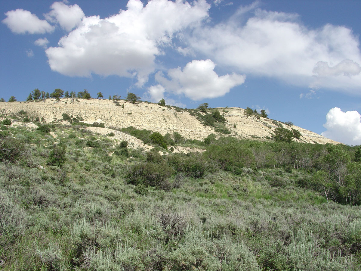 Fossil Lake Trail