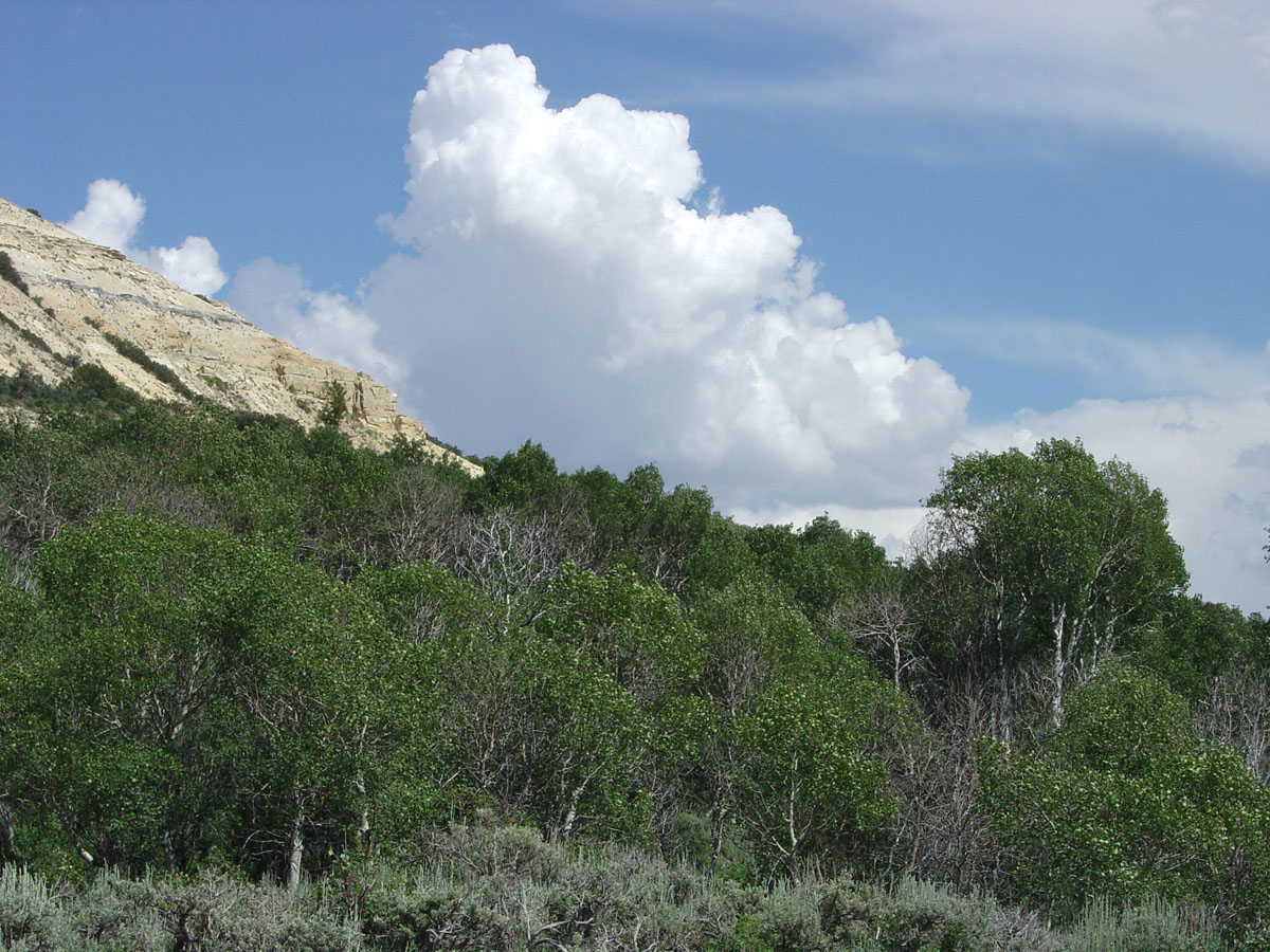 Thunderhead over Fossil Butte