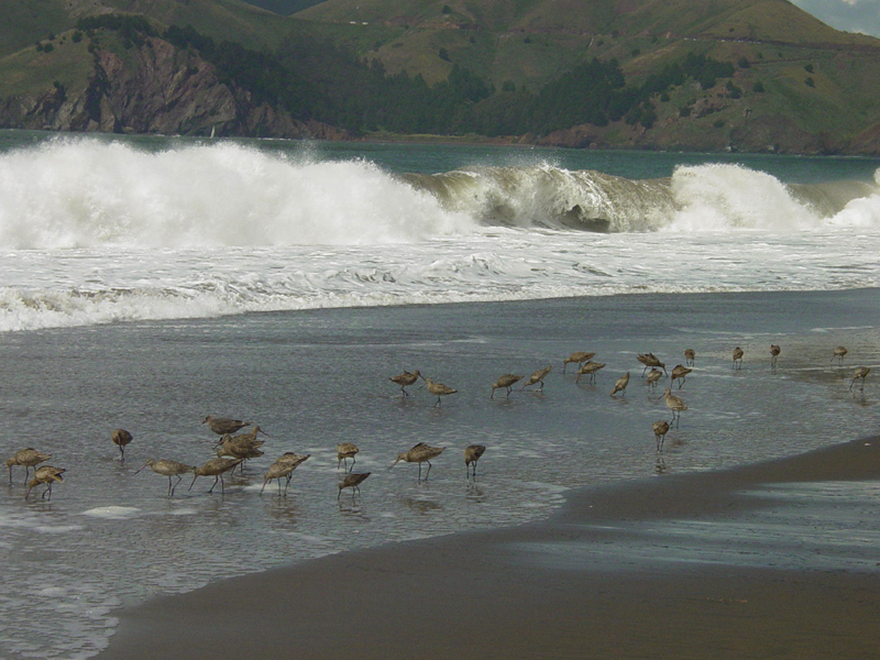 Golden Gate National Recreation Area