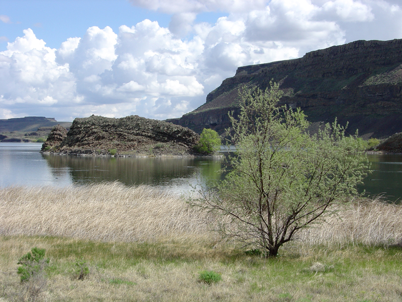 Alkali Lake in Grand Coulee