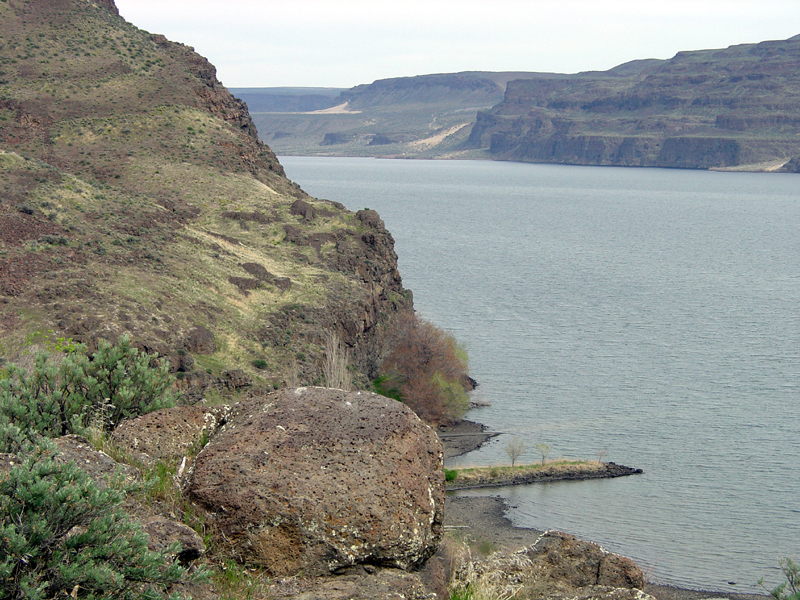 Columbia River Gorge at Ginko Fossil Forest State Park