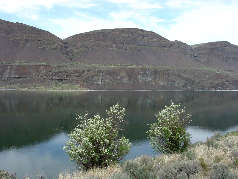 Soap Lake in Grand Coulee