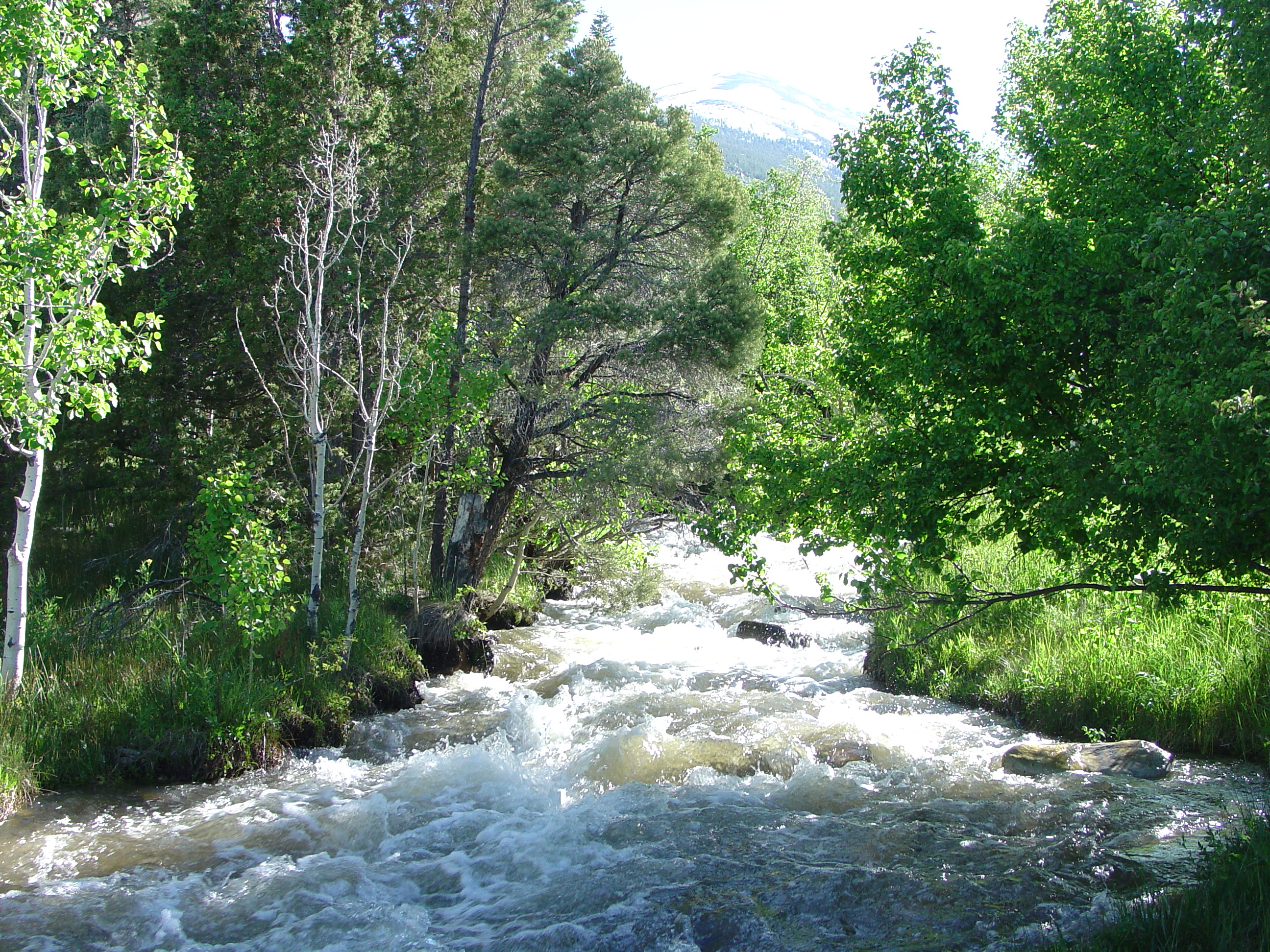 Great Basin National Park