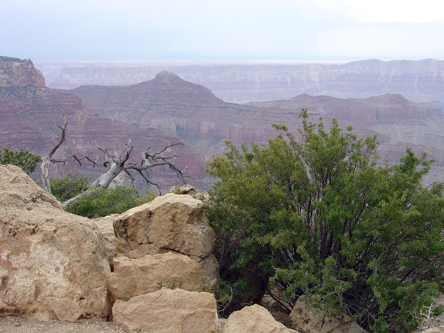 Grand Canyon