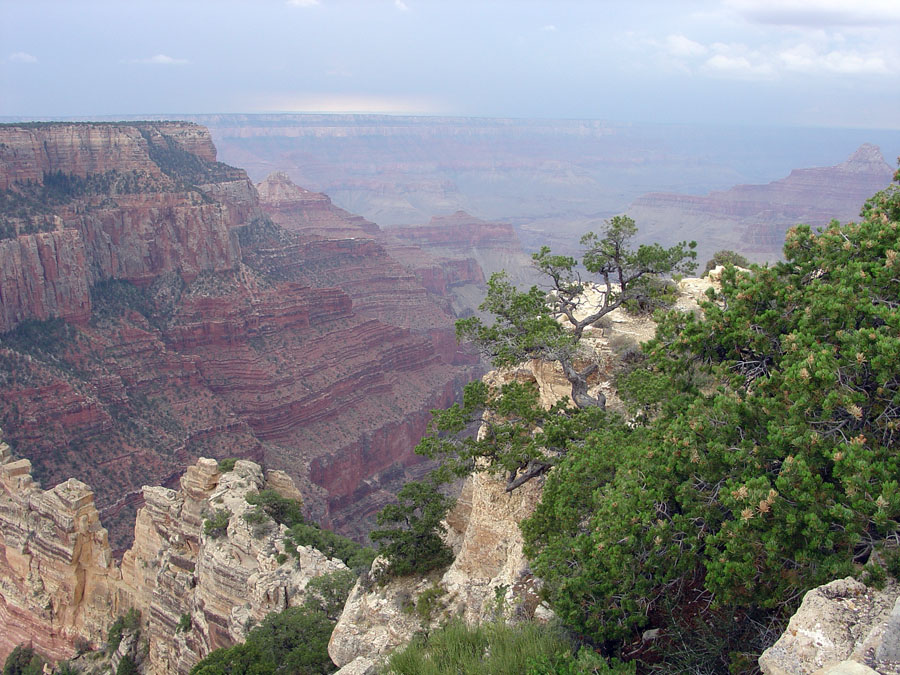 Grand Canyon