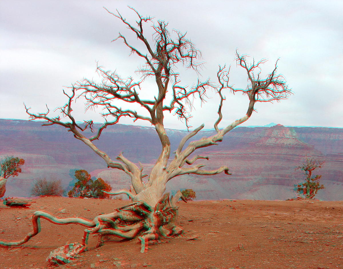 Kaibab Trail