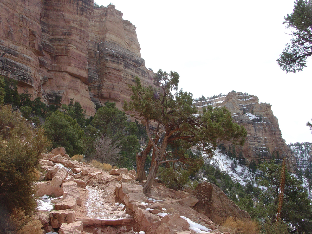 Kaibab Trail