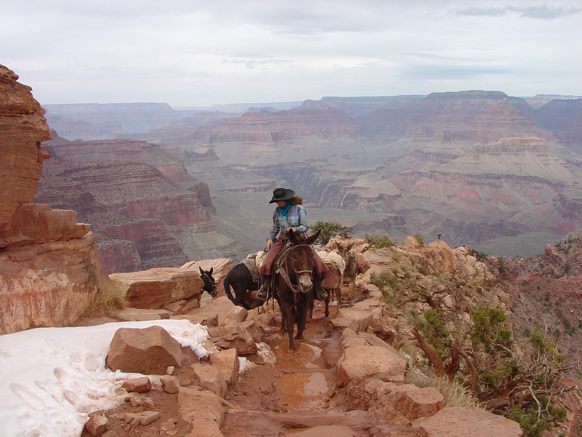 Kaibab Trail