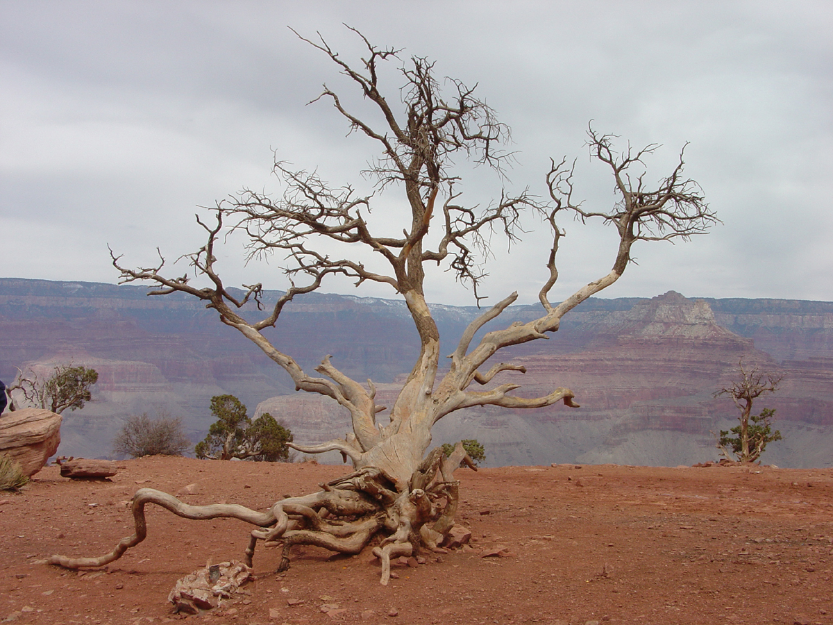 Kaibab Trail