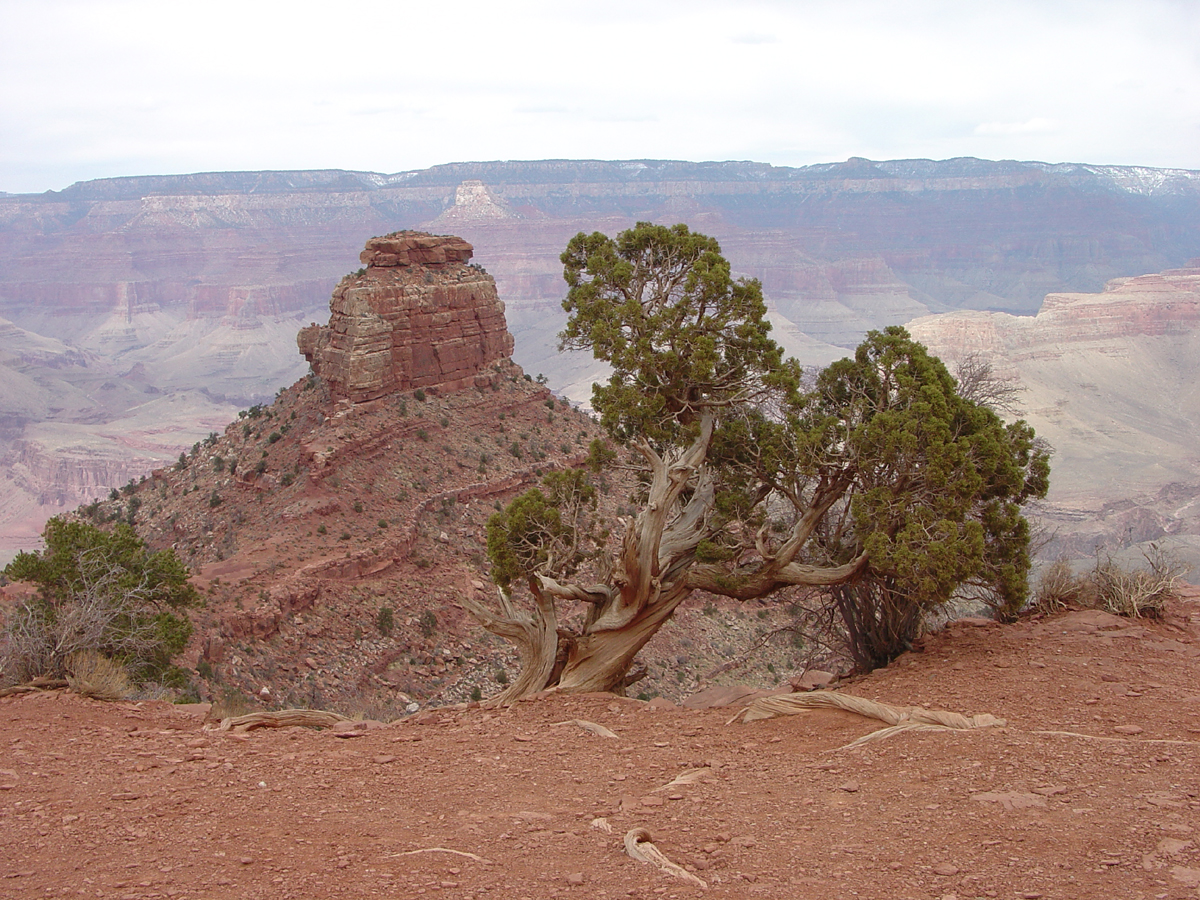 Kaibab Trail