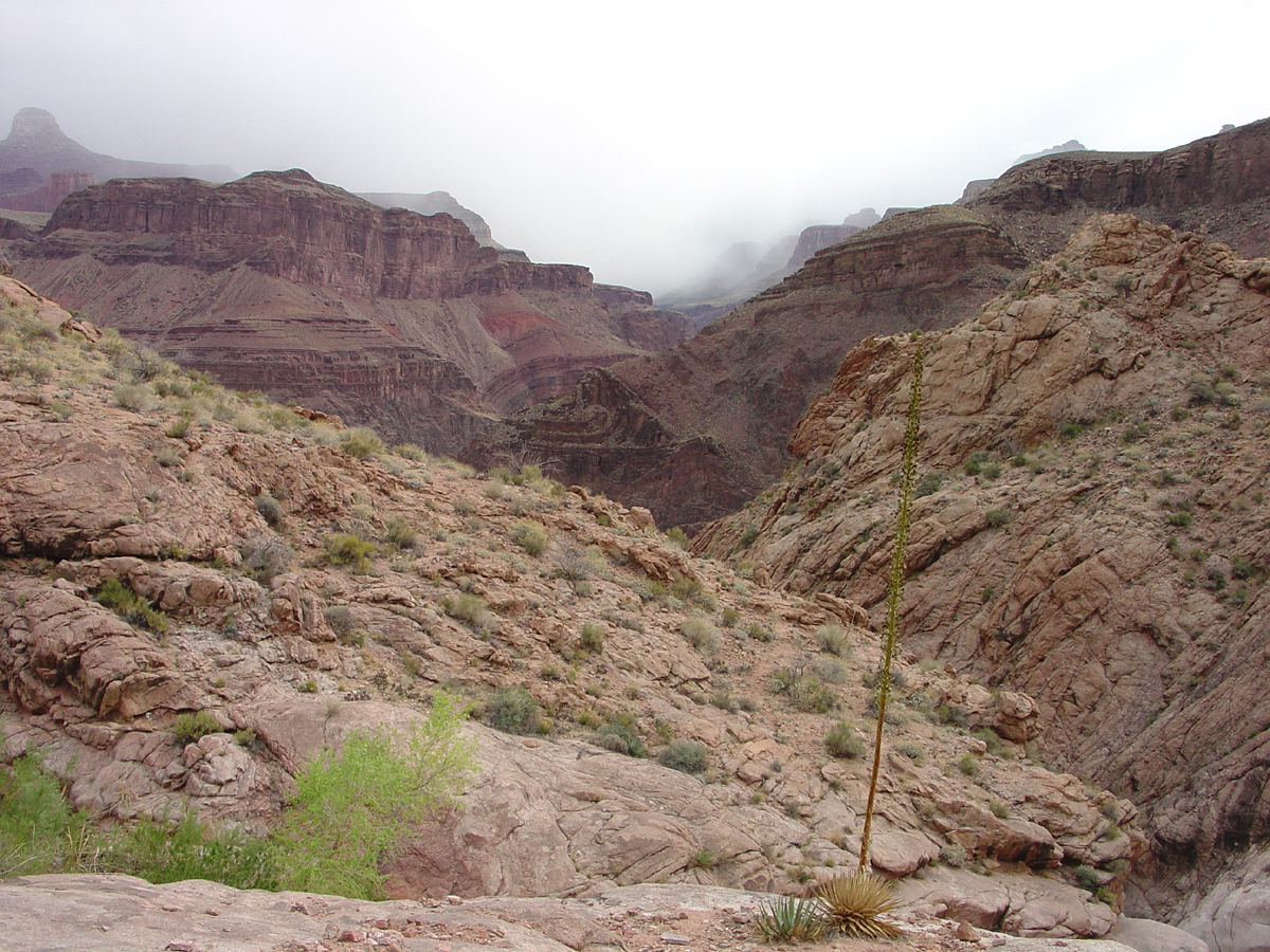 Bright Angel Trail