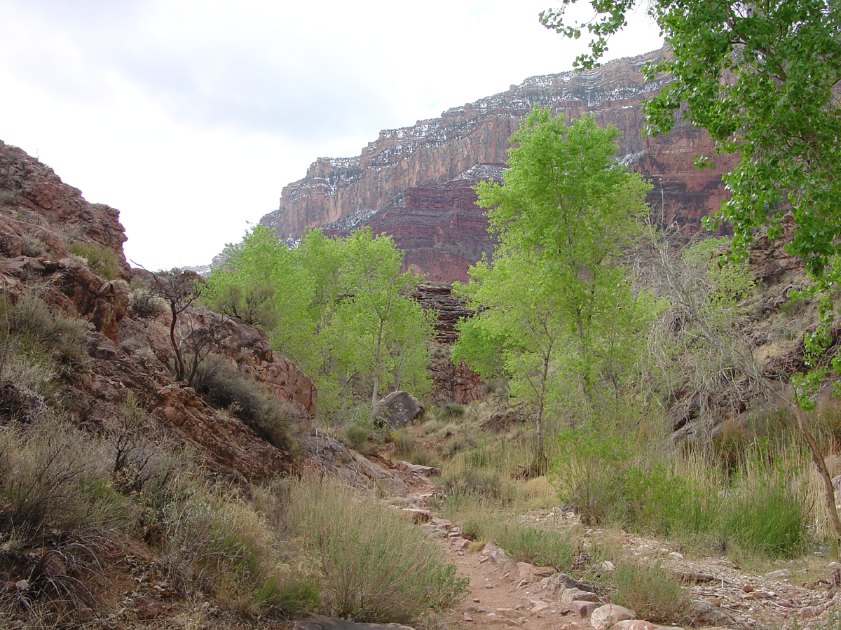 Bright Angel Trail