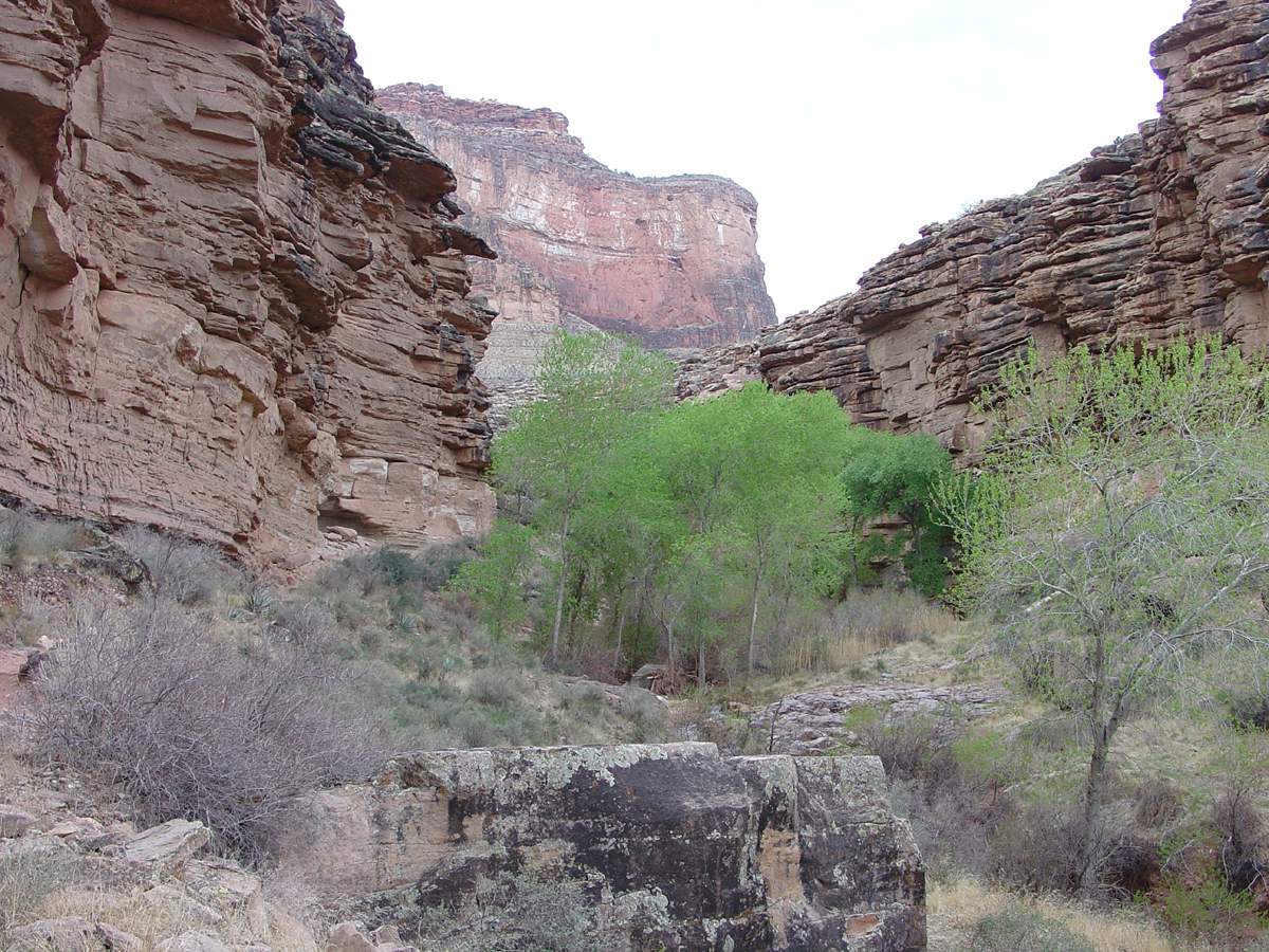 Bright Angel Trail