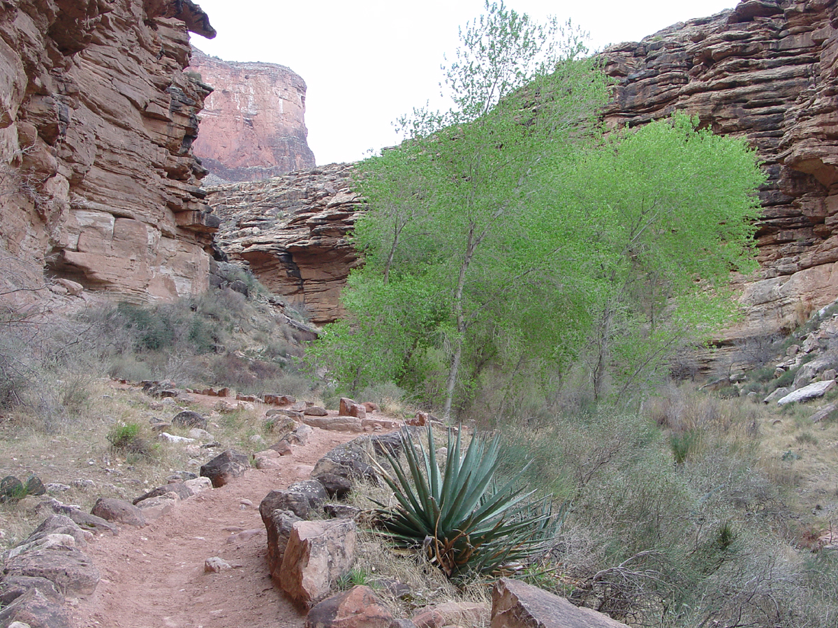 Bright Angel Trail