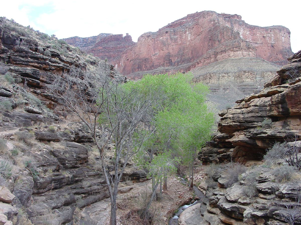 Bright Angel Trail