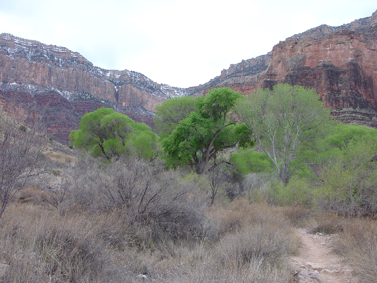 Bright Angel Trail