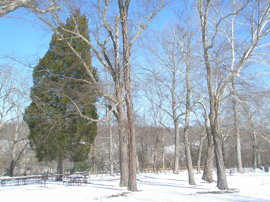 Great Falls Park