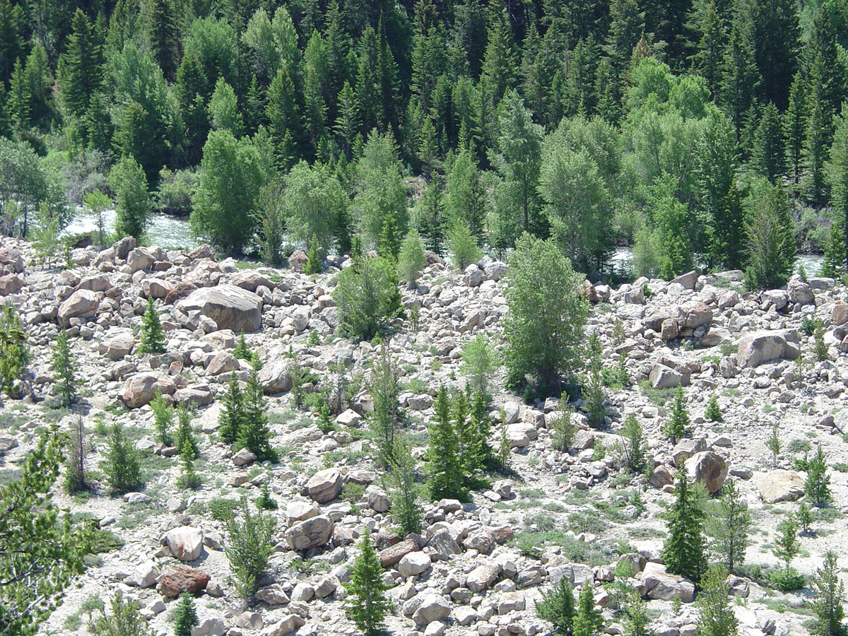 Gros Ventre Slide