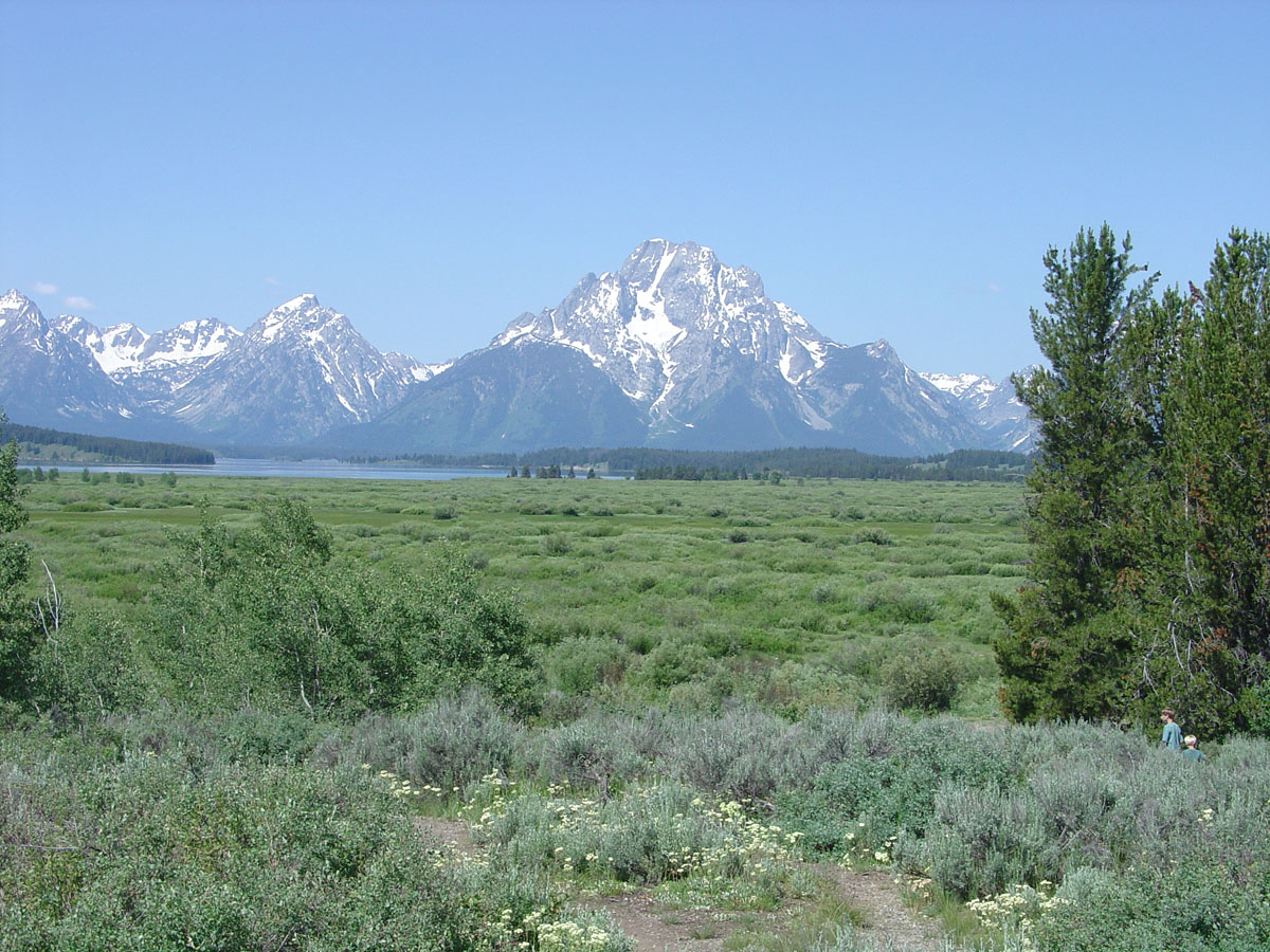 Mount Moran