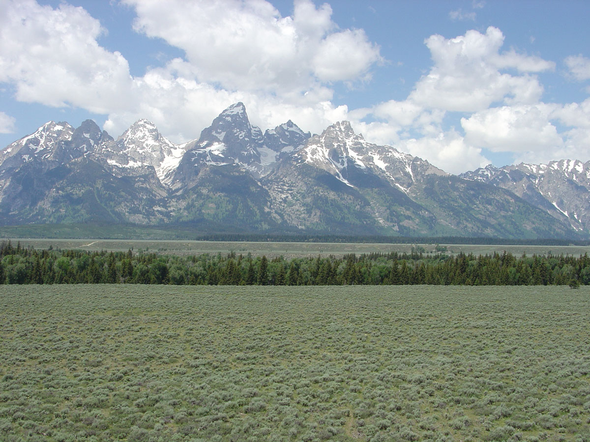 Grand Tetons