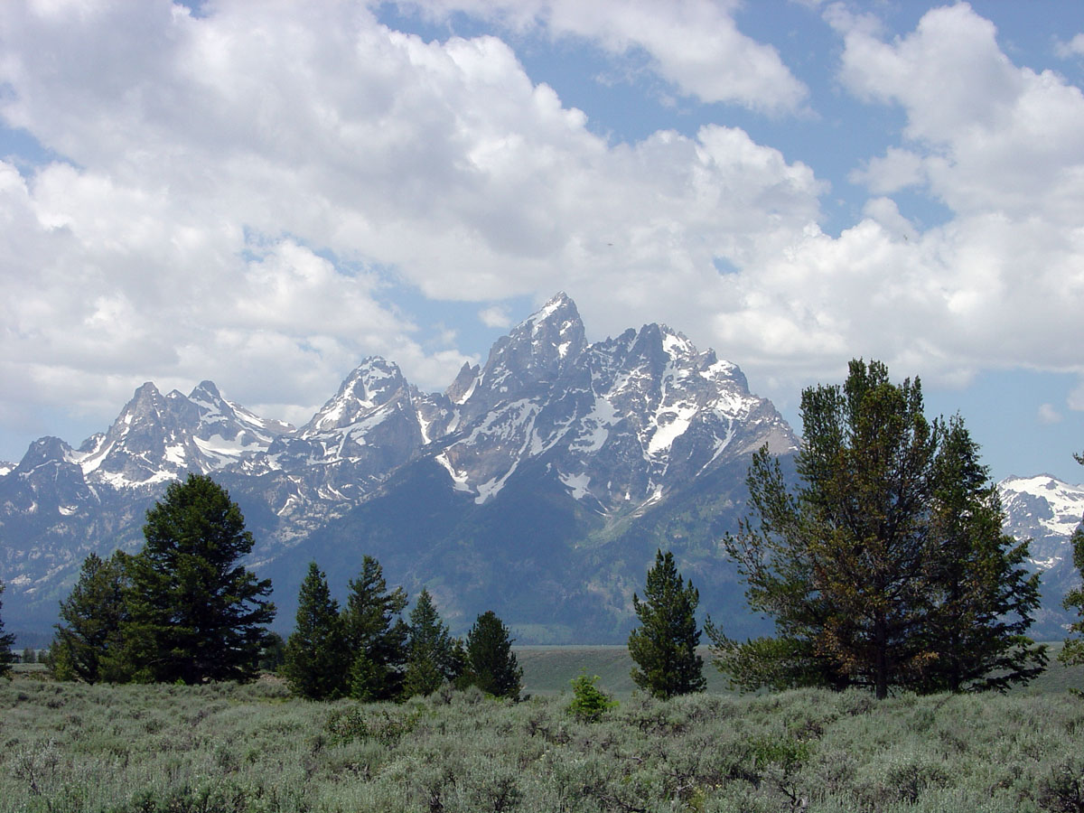 Grand Tetons