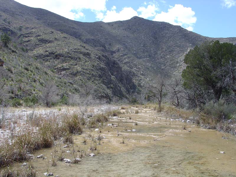 Guadalupe Mountains National Park