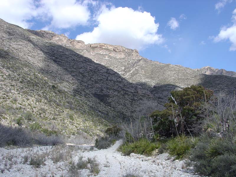 Guadalupe Mountains National Park