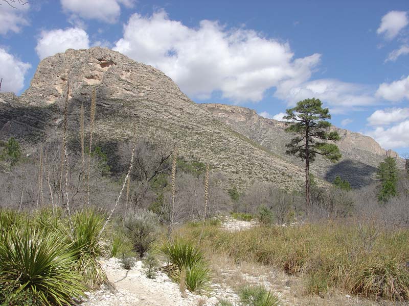 Guadalupe Mountains National Park