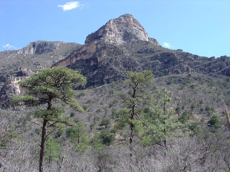 Guadalupe Mountains National Park