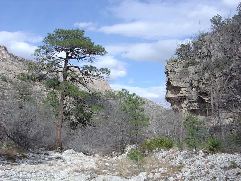 Guadalupe Mountains National Park