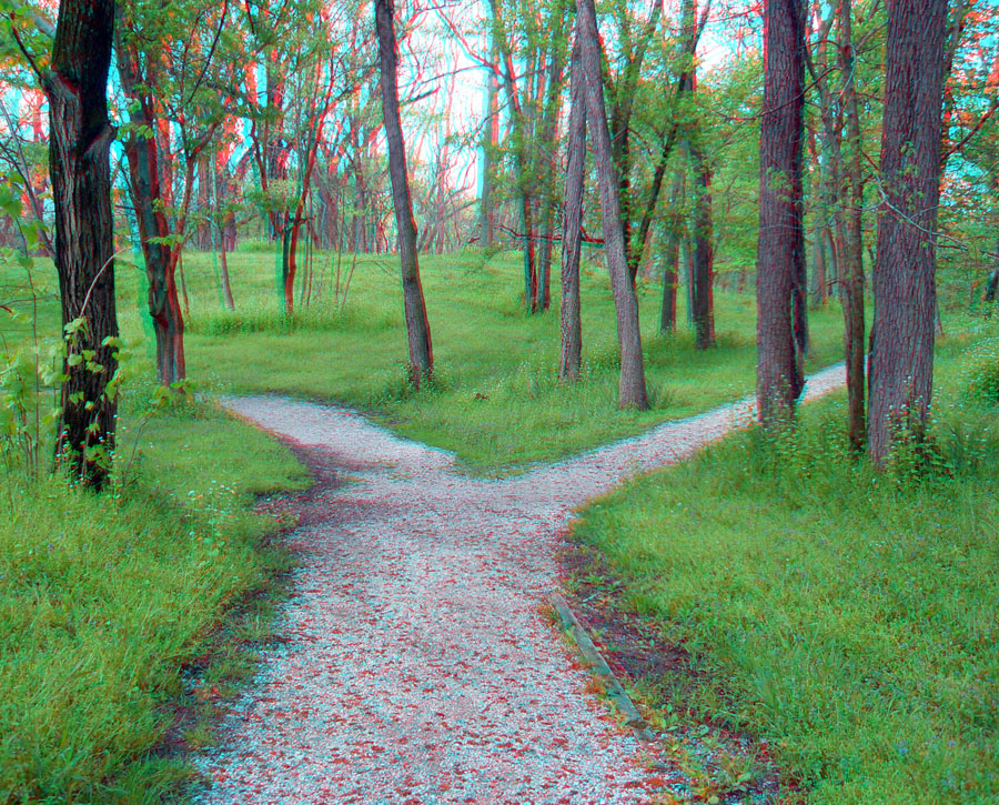 View of a Y in the Shawnee Lookout Trail where it starts a loop path amongst the ancient earthworks at Shawnee Lookout