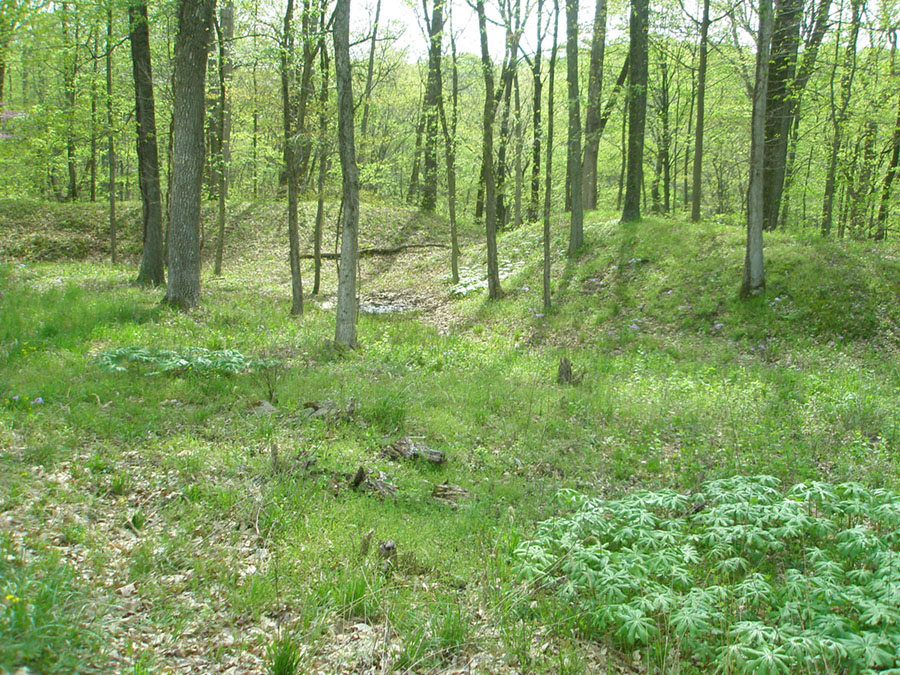 Earthworks in Fort Ancient Memorial Park