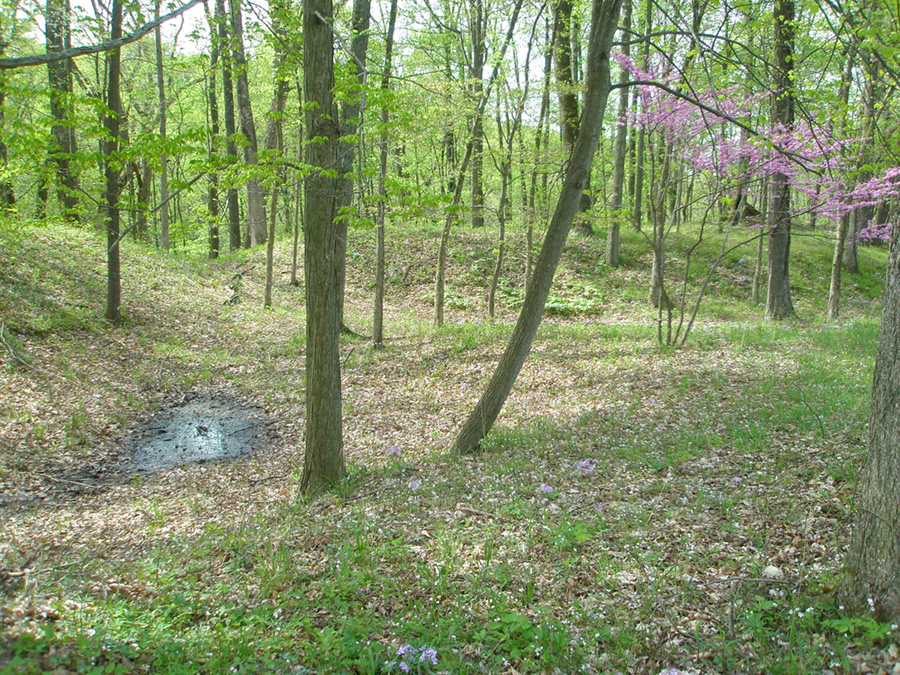 Earthworks in Fort Ancient Memorial Park