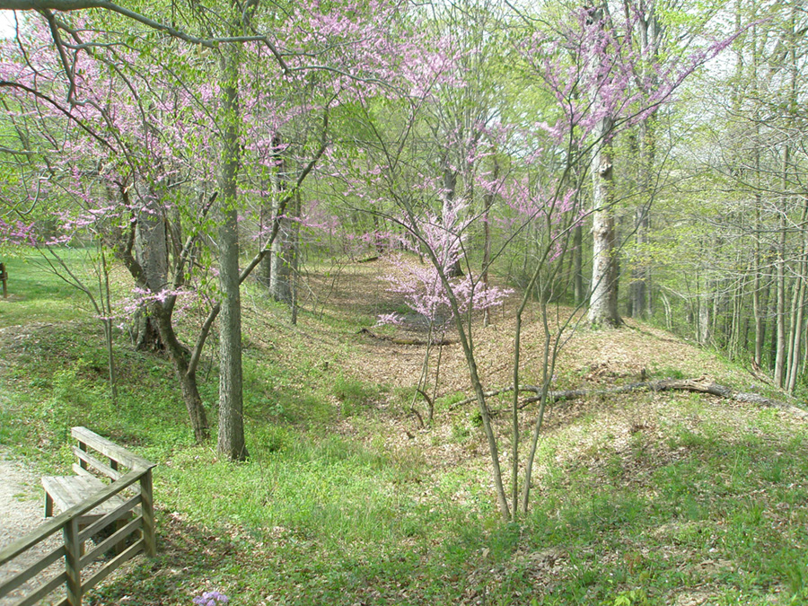 Earthworks in Fort Ancient Memorial Park