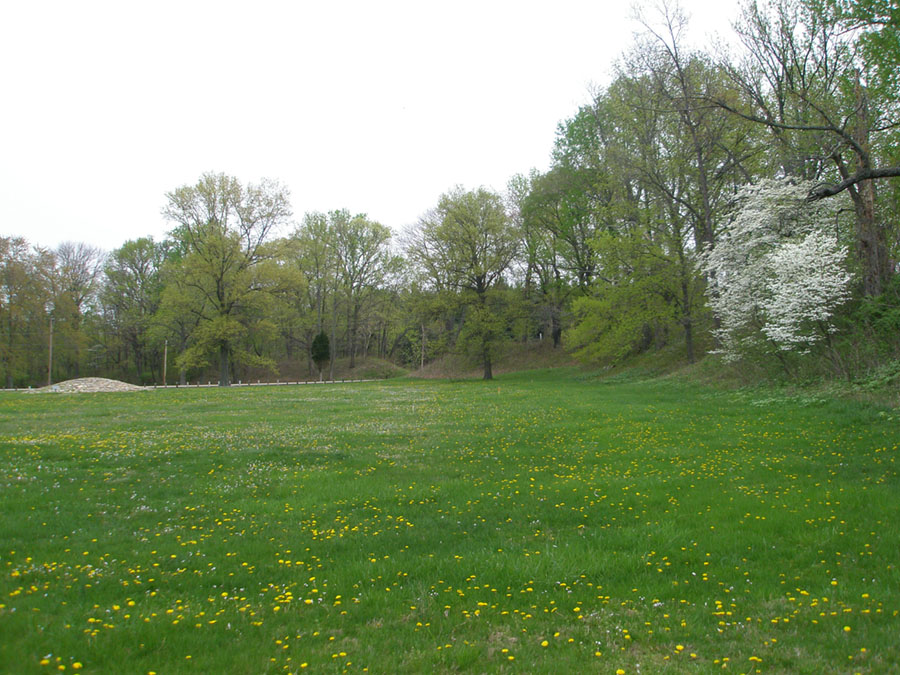 Field with blooming dogwoods and earthworks in Fort Ancient Memorial Park