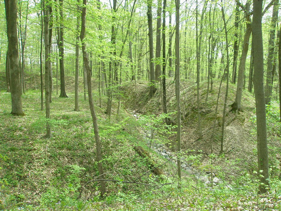 Earthworks and a ditch in Fort Ancient Memorial Park