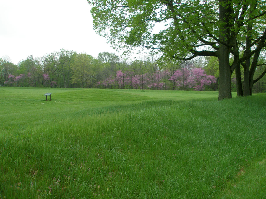 View of earthworks,  a mound, fields, and forest in the distance with redbud trees blooming.