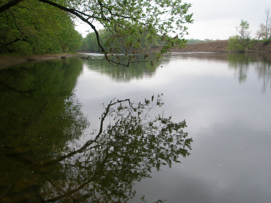 View of reflection on smooth, still water on the Scioto River with muddy cutbanks and forest along the shore.