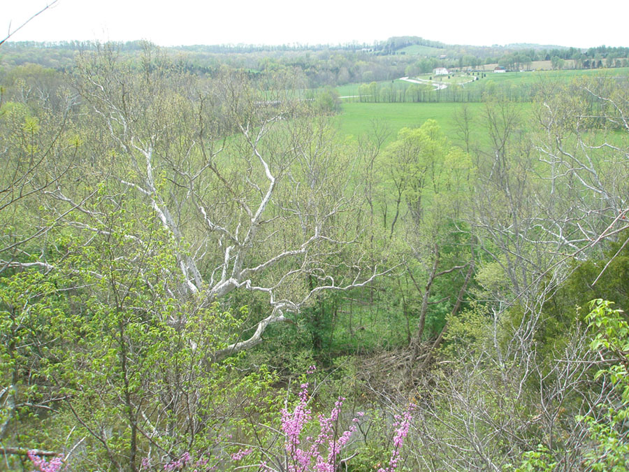 Farmland in the Brush Creek Valley near Serpent Mound Park.