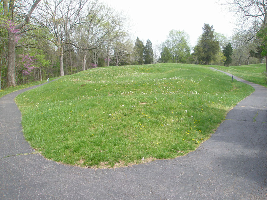 View of the large hollow egg in the mouth of the great serpent effigy mound.