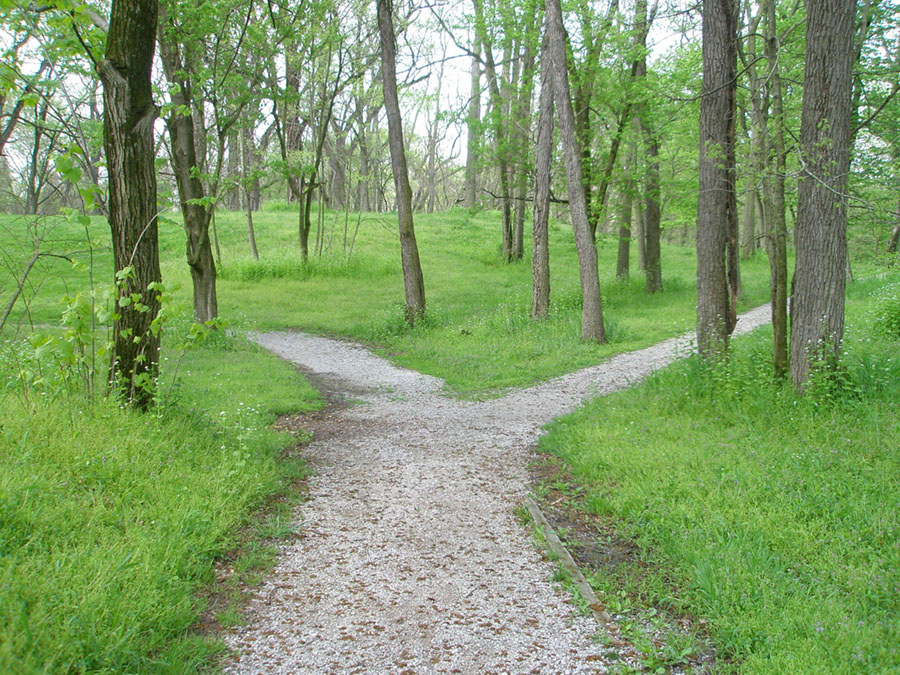 View of a Y in the Shawnee Lookout Trail where it starts a loop path amongst the ancient earthworks at Shawnee Lookout