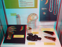 Artifacts on display at the Fort Ancient Museum.