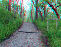 Shawnee Lookout Trail leads through a forest covering the ancient earthworks.