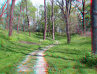 The Shawnee Lookout Trail follows a ditch between ancient earthworks in the forest.