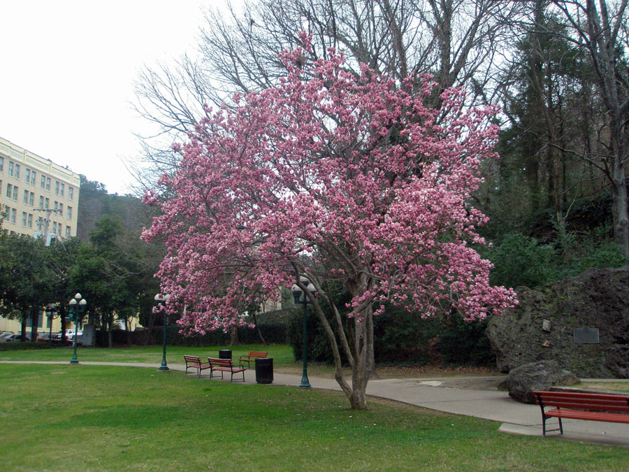 Hot Springs National Park